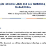 Un Análisis más Profundo al Tráfico Laboral y Sexual en los Estados Unidos